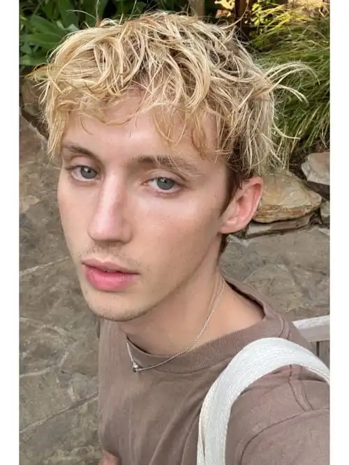 图片分享|troye sivan