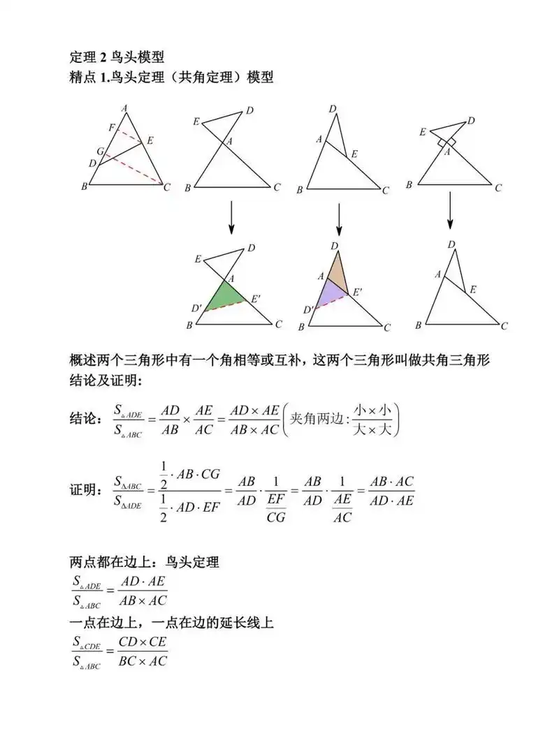 小奥必会模型2鸟头模型 你知道什么是鸟头吗