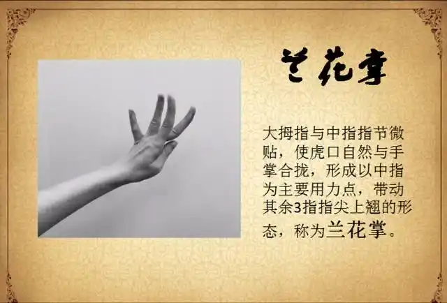 舞蹈-中国古典舞基本手型