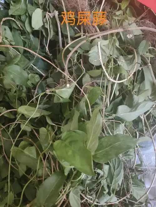 清明艾茶果鸡屎藤茶果