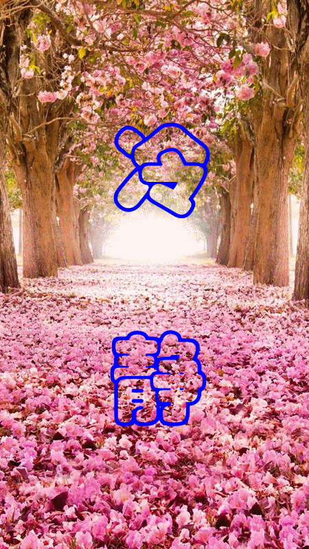 巩庆迎,程方好快来领取你的动态手机壁纸