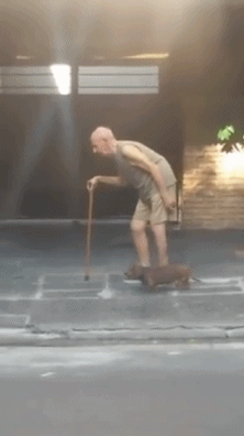 222_396gif 动态图 动图