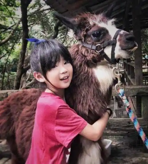 女大十八变,曹格女儿曾被吐槽像"蜡笔小新",如今美到认不出_grace