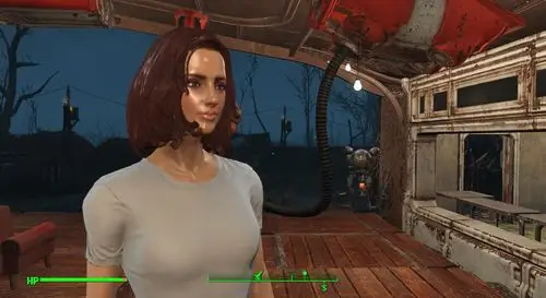 辐射4身形修改大波美臀mod