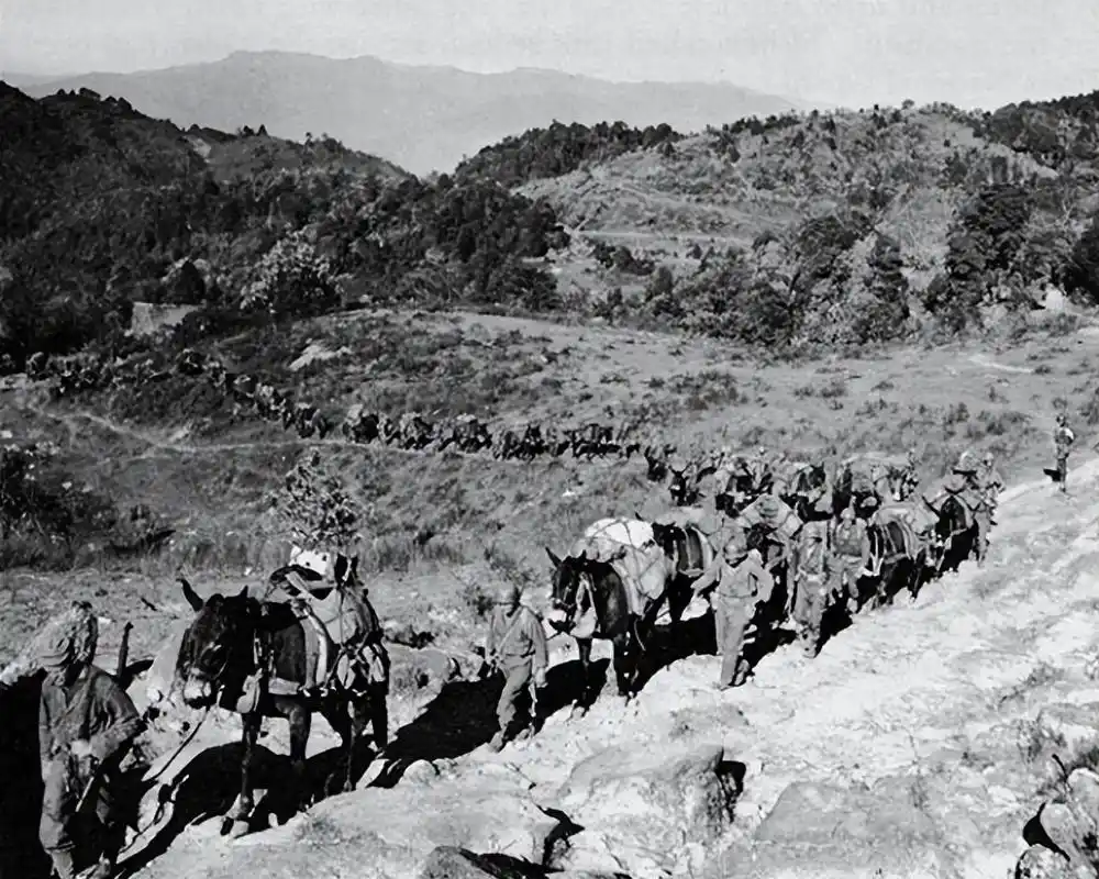 1950年一野,二野因误会发生激烈交战,天亮后认出,双方抱头痛哭