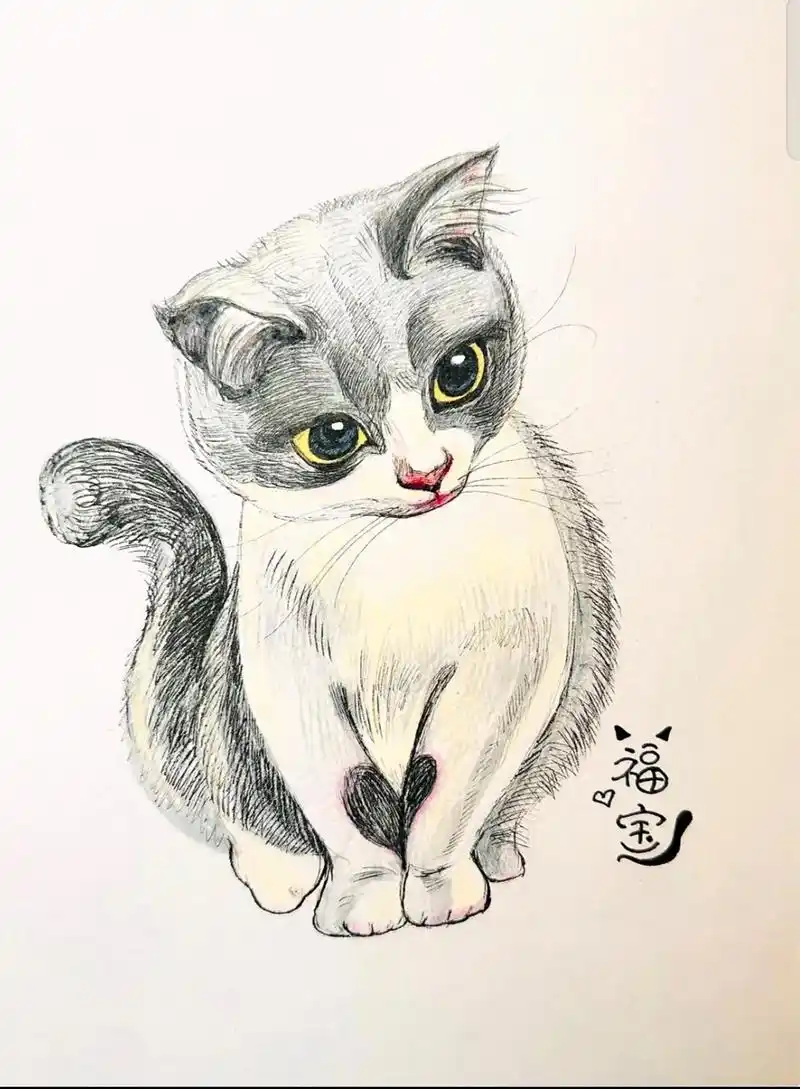 素描猫咪 @诺拉 谢谢~ - 抖音