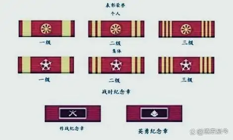 军人胸牌怎么看?右边胸标是军种,左边21枚略章实例解读