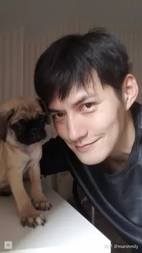 避免了驼峰鼻,鹰钩鼻和鼻孔外翻这些比较常见问题,颧骨立体但是不外扩