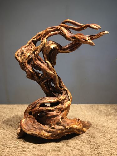 天然树根摆件家居茶道禅意随形根艺