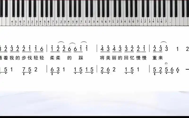 lastdance钢琴曲钢琴简易简谱独奏