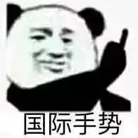 国际手势(熊猫头竖中指)_中指_熊猫_手势_国际表情
