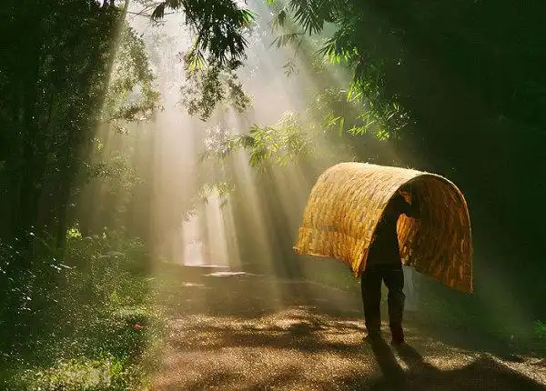 【组图】平凡的唯美好醉人(13张)