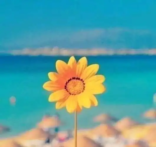 有深度内涵的爱情句子,简单干净,看了好心酸!