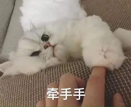 应届生第一次面试的经历第一次面试问了我有什么实