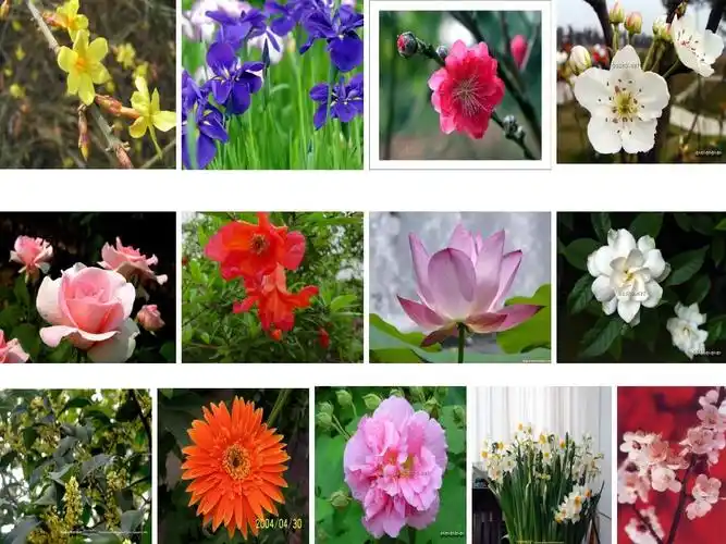 《十二月花歌》课件ppt