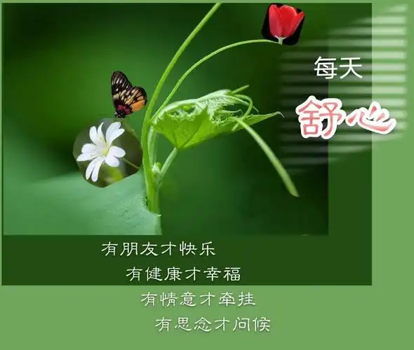 每天都有好心情!疫情不怕不怕啦!别忘戴口罩!