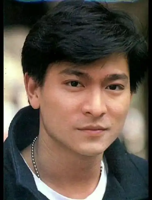 谁能帅过年轻时的刘德华?