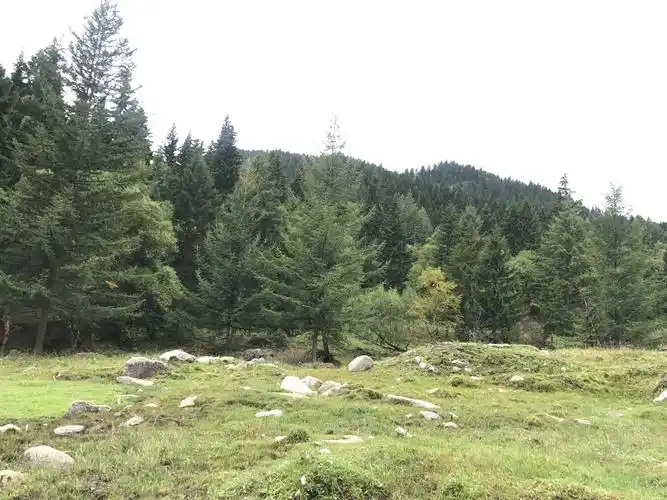 兰州竹林沟自然保护区