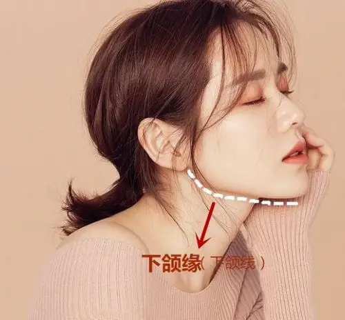 下颌缘在哪里?怎样拥有清晰下颌缘?