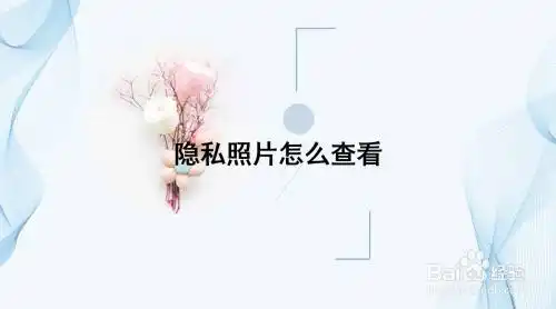 隐私照片怎么查看