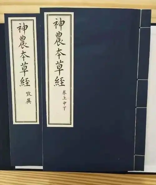 神农本草经记载石斛功效