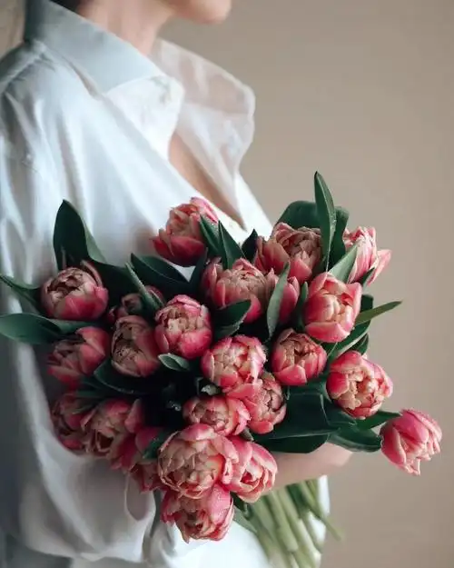 ins - 堆糖,美图壁纸兴趣社区