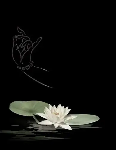 茶里乾坤大,壶中日月长.