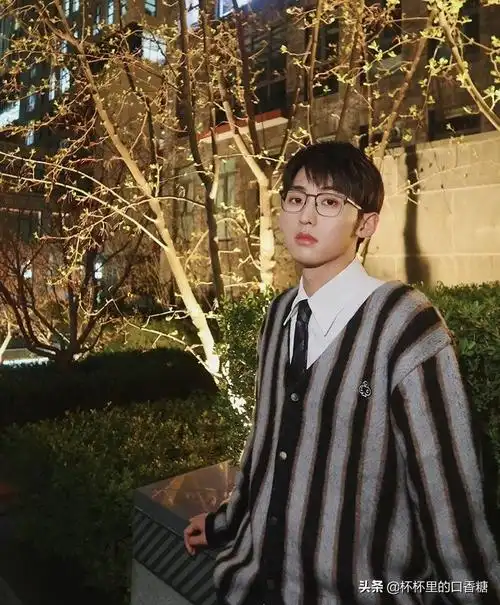 刘昊然在大学照片,刘昊然人大代表照片