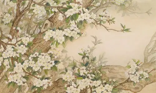 【工笔画素材篇】高清工笔画花鸟图