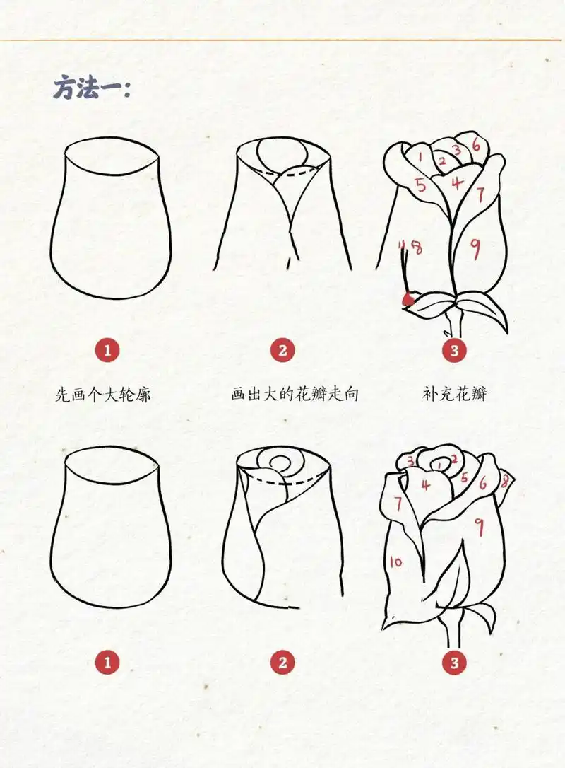 玫瑰花的画法 | 多角度线稿 | 绘画教程 练习了一下画玫瑰花,玫瑰花