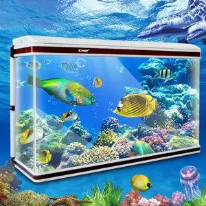 超白鱼缸水族箱玄关长方形屏风中型大型玻璃桌面侧滤生态水草缸50老渔