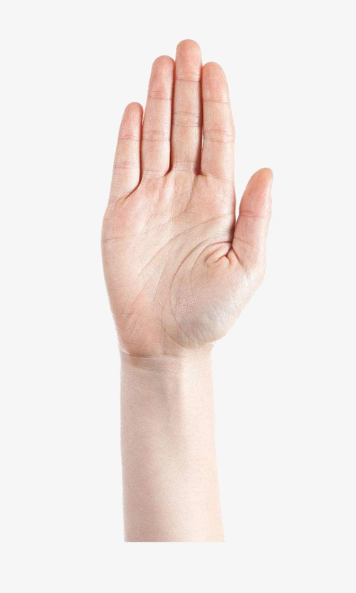 简约风格伸出手掌宣誓发誓起誓手