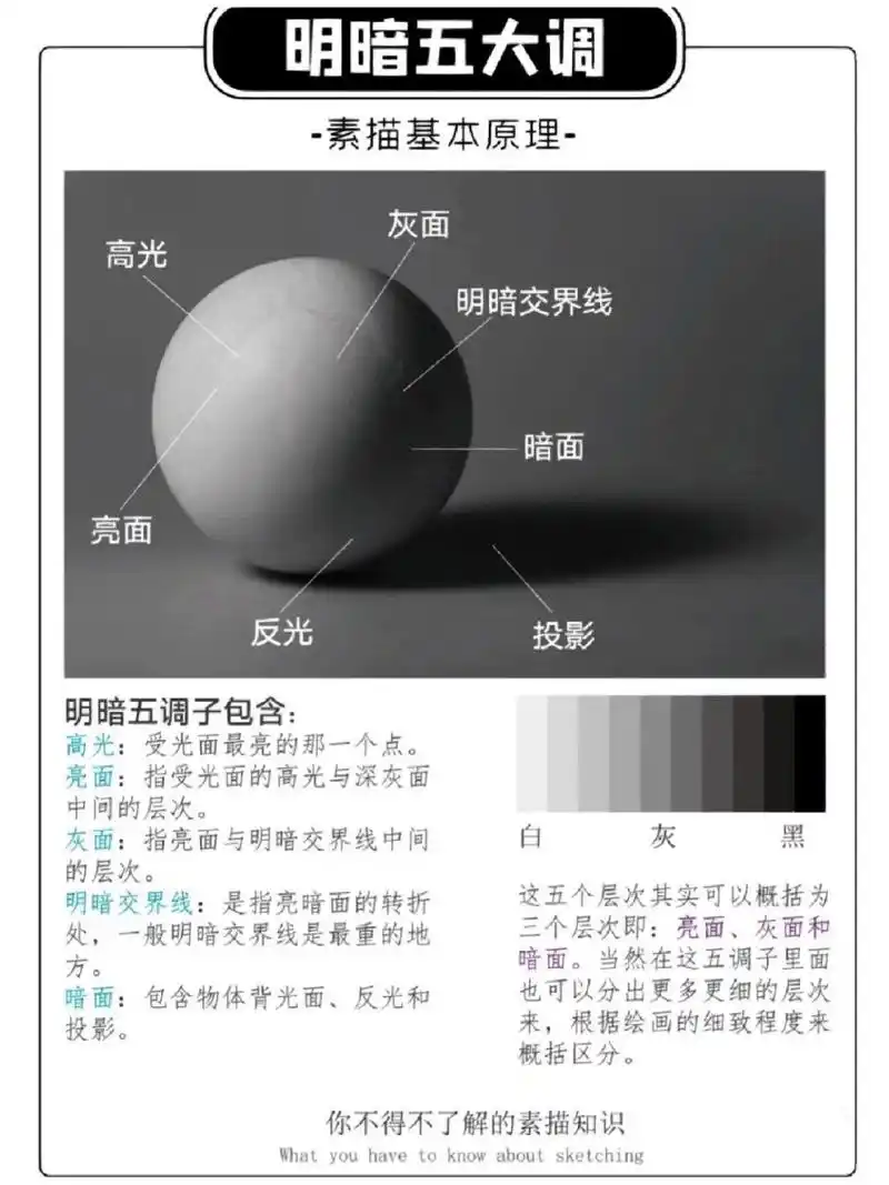 素描知识点总结 素描基础知识点总结,干货.