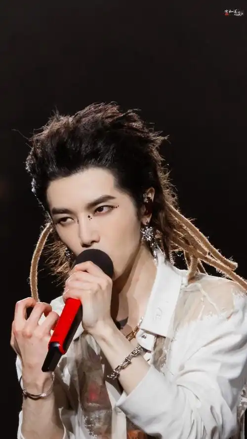 2024华晨宇火星演唱会