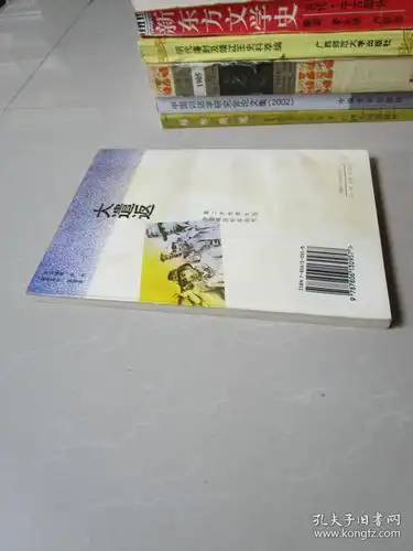 第二次世界大战中国战区纪实丛书——大遣返_完颜绍