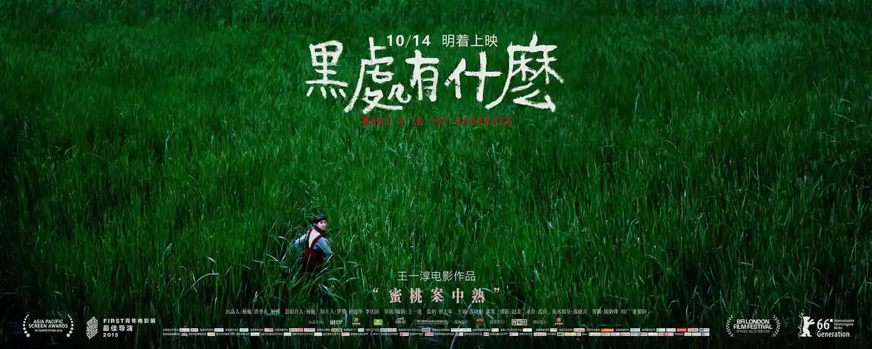 皮克彻设计制作的几款文艺片海报与概念海报