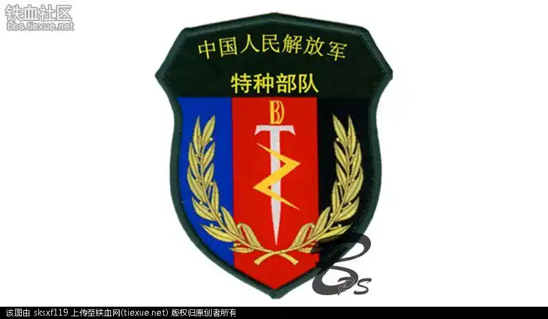 中国人民解放军特种部队的臂章