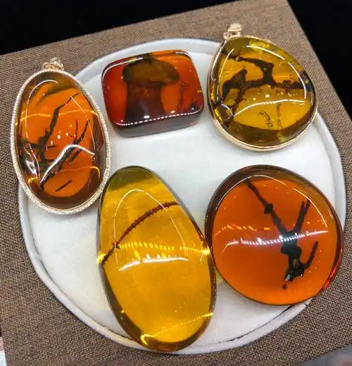 琥珀怎么样琥珀种类