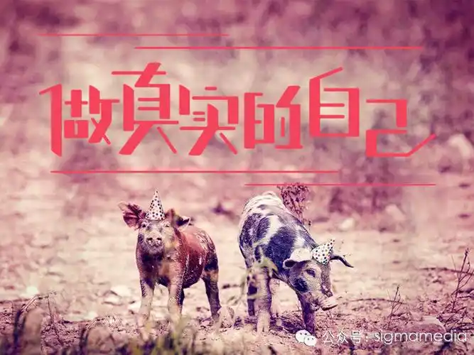 原创字体设计做真实的自己