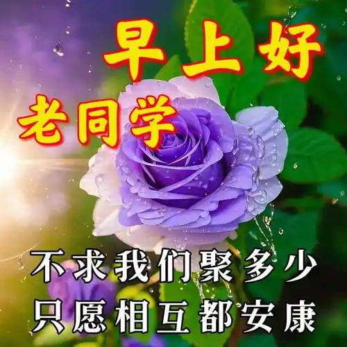 最新老同学早上好图片大全,祝老同学们,身体健康!平安吉祥!