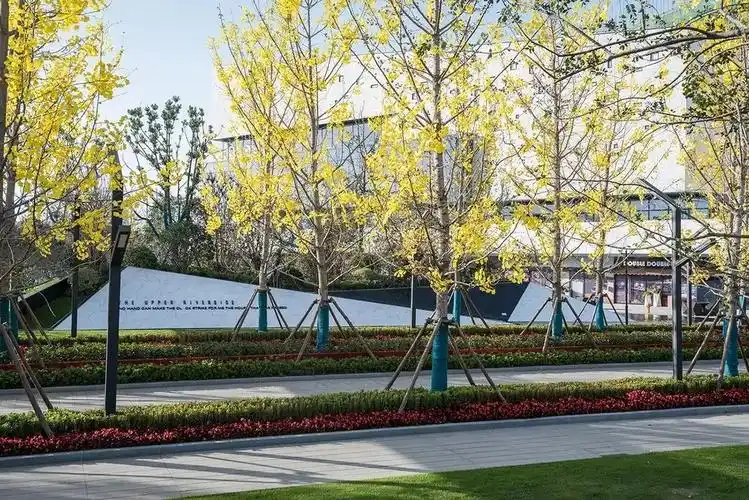 [分享]树阵景观,居然还能这么美!