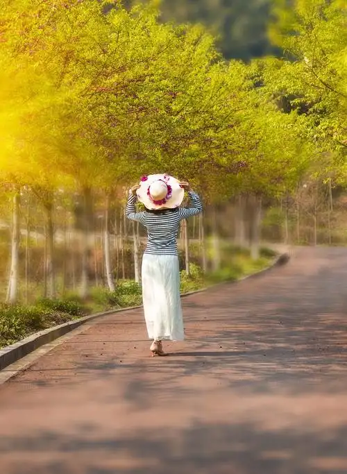 阳光下的背影,也是一季风景