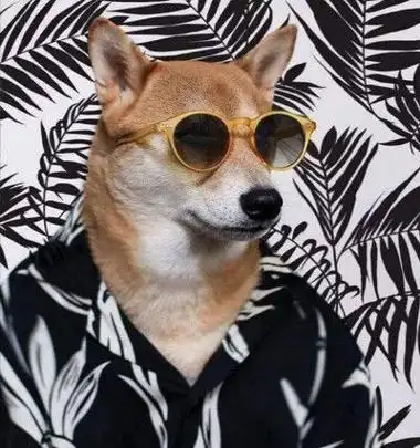 男生搞笑头像2022最火爆 男生搞笑头像图片逗比高清_布阁拉