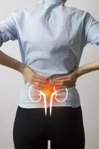 矢量插图五颜六色的人体器官与肝脏,肾脏脑胰,心脏女性生殖系统和胃在