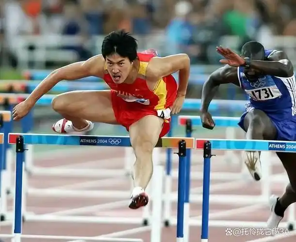 亚洲飞人刘翔夺冠,2004年雅典奥运会男子百米跨栏决赛