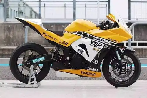 别争了你是小排里最骚的雅马哈r3赛道化改装