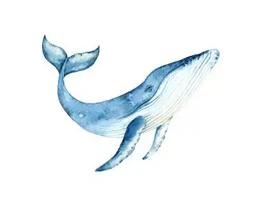 动物手绘海豚动物剪影蓝色水彩