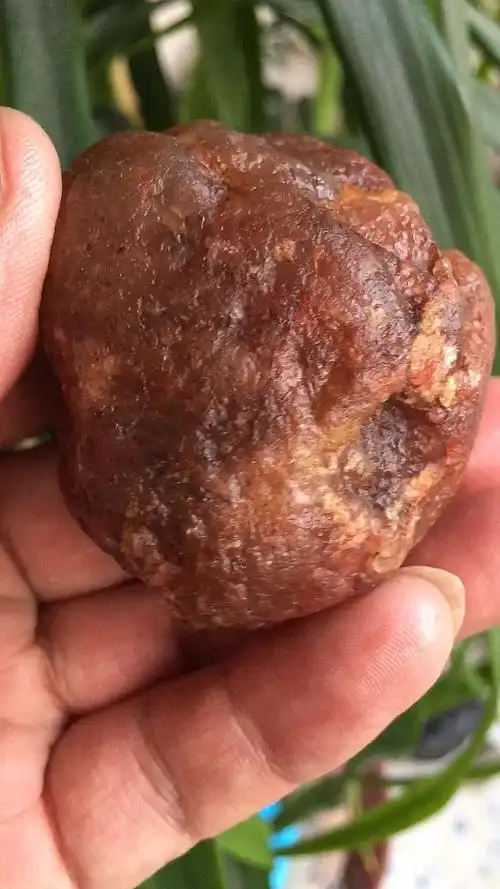 返程行李箱#传说中的玛瑙陨石～-度小视