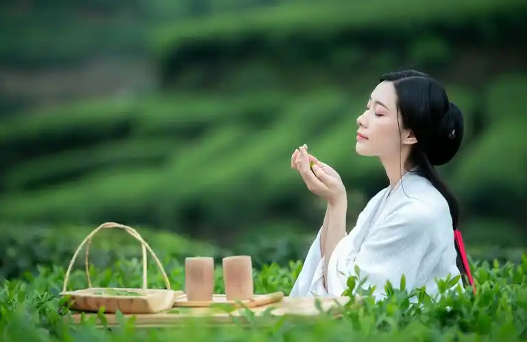 其它 茶韵 写美篇褪色的记忆 还保留着阳光的热情