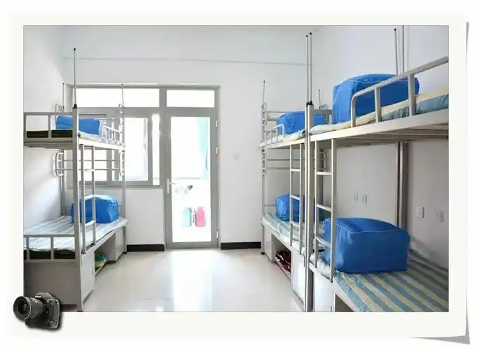 如果它们能说话一定会讲出动听的故事石家庄二中教学设施一览